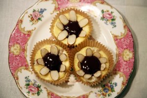 Sunflower cheesecakes