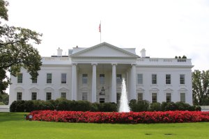( Photo credit: Brian Yaklyvich via CNN )