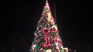 Old Sac Christmas Tree