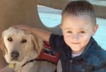 Service Dogs Help People with Special Needs