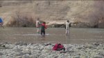 american river fishermen