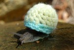 snail-cozy