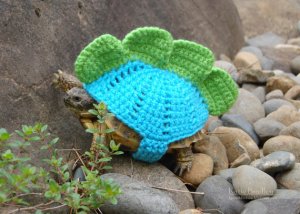 tortoise-cozy-1