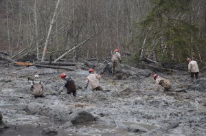 Washington landslide search crews