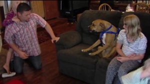 Family Says Service Dog was Not Trained