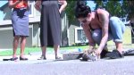Cat Rescued from Rocklin Storm Drain