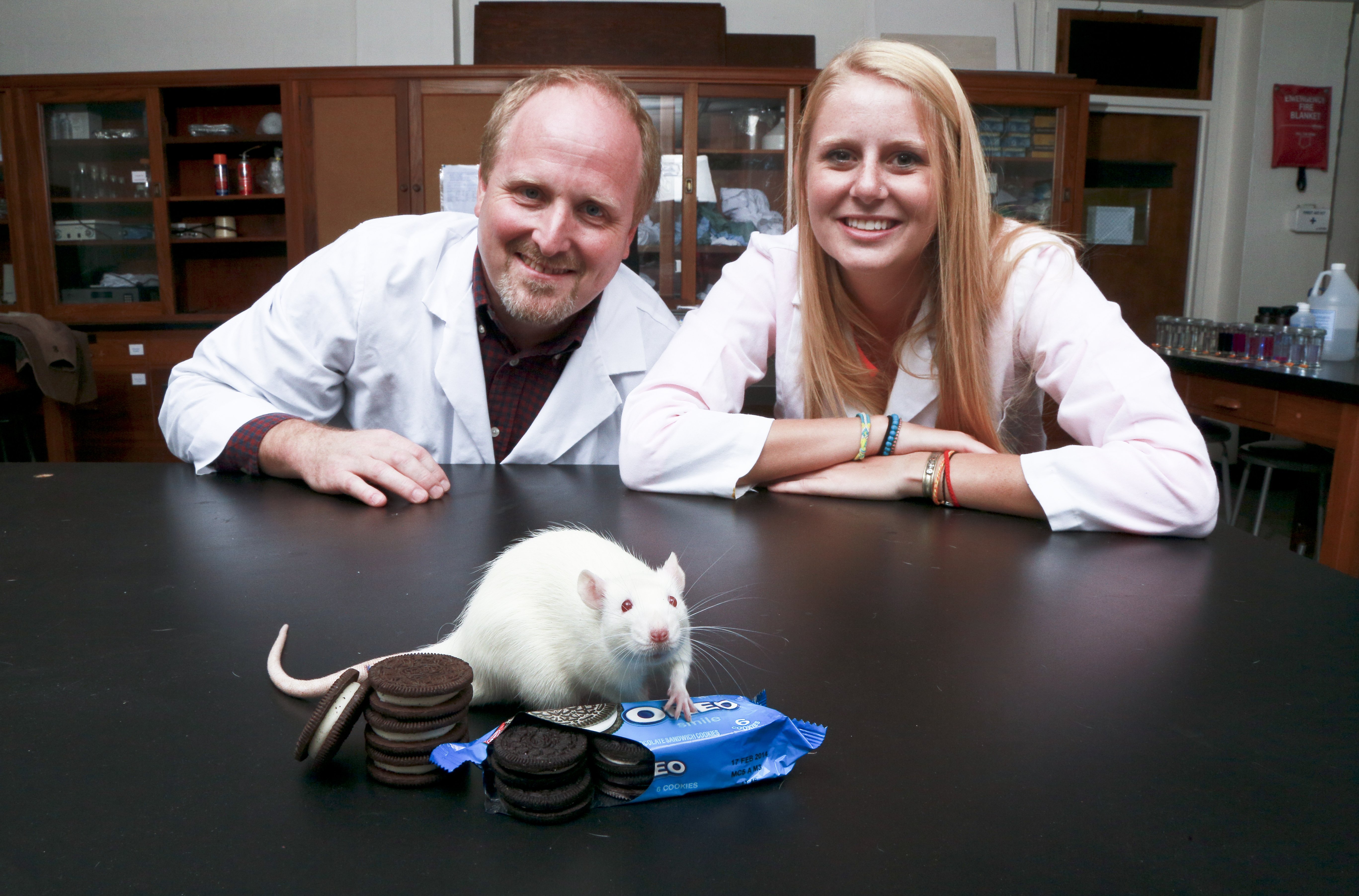 Connecticut College: Oreos are just as addictive as drugs in lab rats