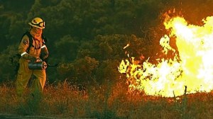 Firefighter Lights Backfire