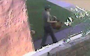 Wedding Ring Burglar