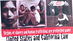 human trafficking sign