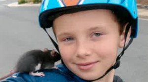 rat bite