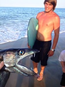 lancetfish 2