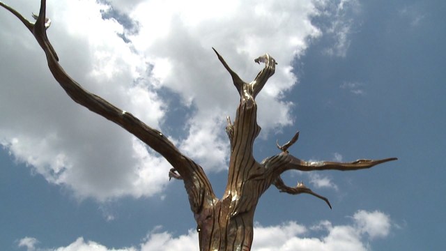 tree