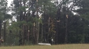 Tree damage along Martling Road in Asbury. (Photo: Laura Christmas/WHNT News 19)