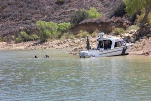 divers search for bryce laspisa