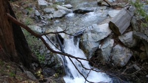 filephoto Angeles National Forest