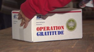 gratitude