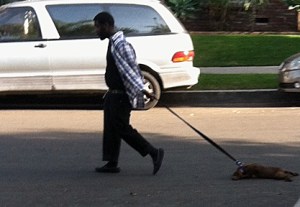 man-drags-puppy