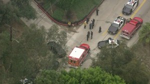 Ambulence_on_scene_of_Hollywood_Hills_Shooting