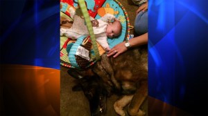 k9-bruno-with-baby