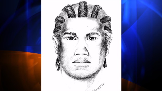 suspected-kidnapper-sketch-south-la