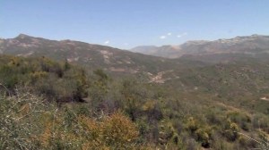 Searchers were looking for Herdman in the remote Sespe Wilderness Area on June 17, 2014. (Credit: KTLA)