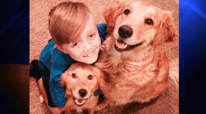Ethan Katz and his two rescue dogs are shown in a photo posted to a Booster.com fundraising page. 