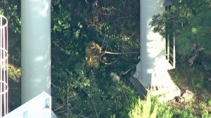 Firefighters worked near the base of the ride during the rescue operation. (Credit: KTLA)
