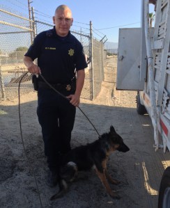 Sgt. Miguel Hernandez poses with Lola after the rescue on July 3, 2014. (Credit:  Riverside County Animal Services)