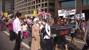 Hundreds protested in Westwood on July 12, 2014, against Israeli airstrikes on Gaza. (Credit: KTLA)