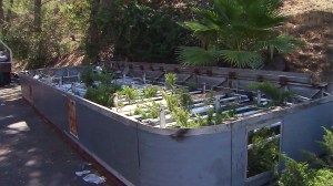 Firefighters had to rescue a man from under a 10,000 pound sign in Calabasas on Friday, Aug. 22, 2014. (Credit: KTLA)