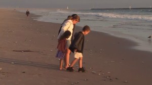 Beachgoers in Oxnard check out velella velella, which have washed ashore all along the West Coast, on Aug. 13, 2014. (Credit: KTLA)