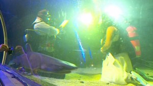 Surrounded by sharks, a Minnesota couple tied the knot at the Sea Life Aquarium on Aug. 7, 2014. (Credit: CNN) 