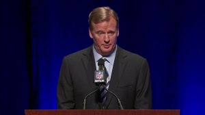 An increasing number of critics think National Football League Commissioner Roger Goodell, seen in this file photo, should be fired over his handling of Ray Rice's punishment. 