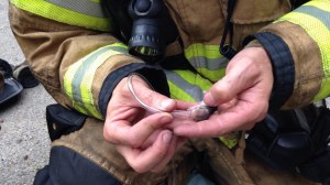 The Lacey Fire District 3 tweeted this photo of firefighters trying to resuscitate a hamster that has been in a house fire on Sept. 26, 2014. 