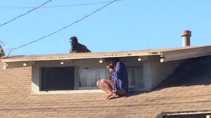 A picture captured by Twitter user @Venice311 showed a women hiding from a man who had allegedly broke into her home. 