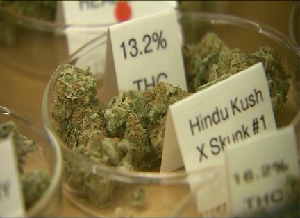 Illinois House passes medical marijuana bill
