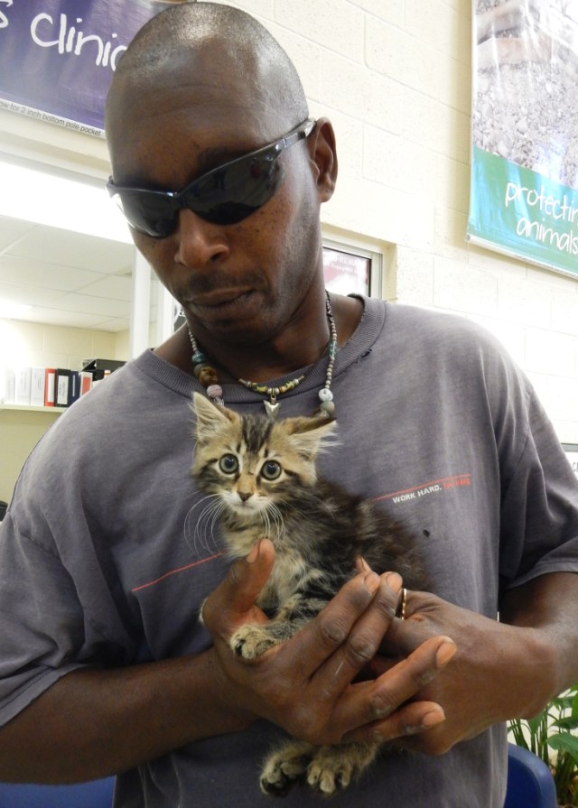 Man cuts open truck to save kitten