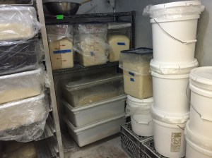 sourdoughstarter