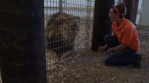 Wild Animal Sanctuary, Kennesburg, Colo