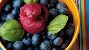 Blueberry Basil Sorbet