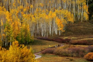 Fall colors in the Kebler Pass area of Colorado. (Photo: Purestock)