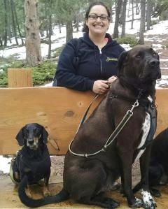 Tembo, dog on the right, needed treatment after eating marijuana
