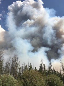 Beaver Creek Fire, June 21, 2016. (Photo: U.S. Forest Service)