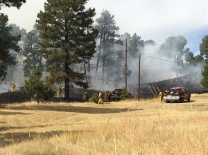 Antelope Trail fire in Douglas County, Colorado. Photo credit: South Metro Fire Rescue