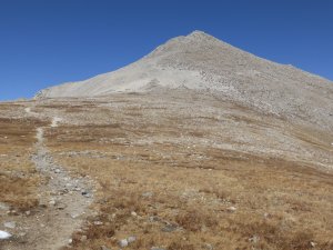 Trail to the summit of Mount Shavano. Photo Lloyd Athearn CFI.