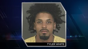 Tyler White, 25, faces multiple charges after a fatal hit-and-run. (photo: DPD)