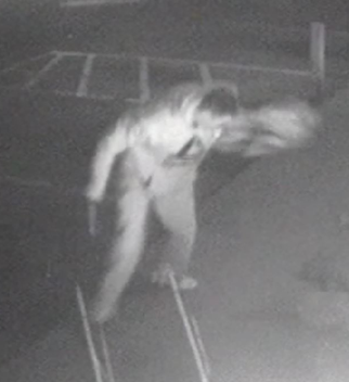 (Photo: Adams County Sheriff's Office)
