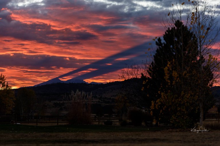 Photo by Kathy Hill, Berthoud, CO.