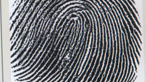 fingerprint